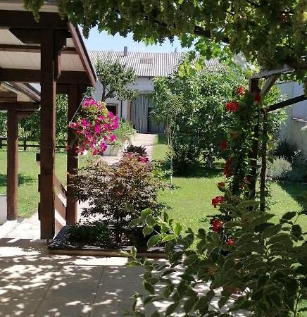 Ferienwohnung Maks Und Kris Sankt Andrä bei Frauenkirchen Extérieur photo
